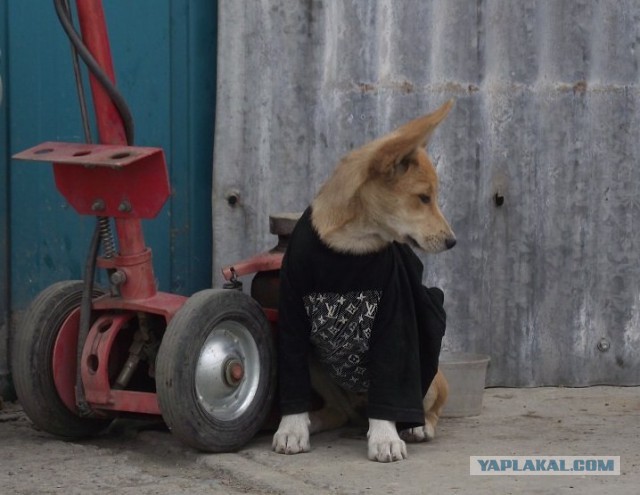 Больше, чем фото