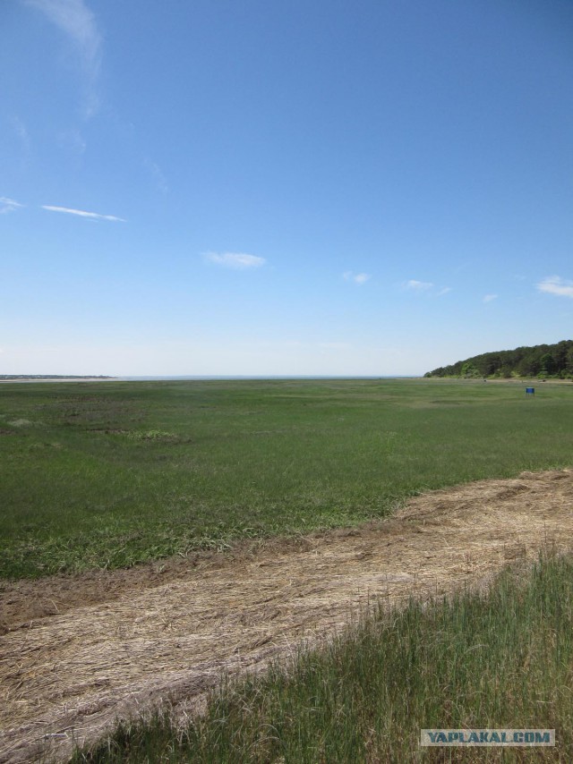 Деревенская Америка - 2