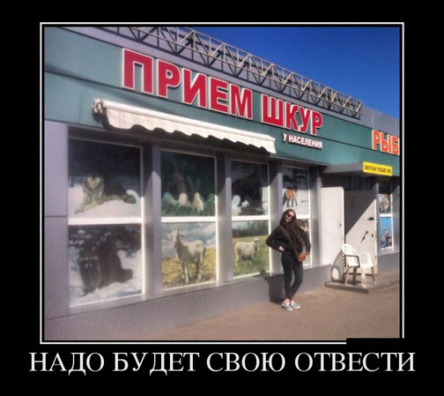 Порция картинок