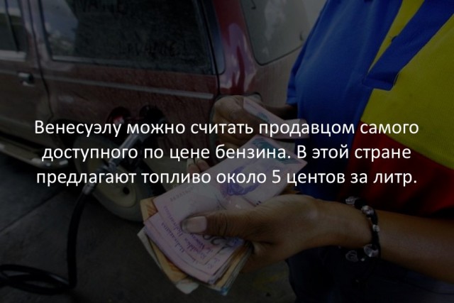 40 интересных фактов в картинках.