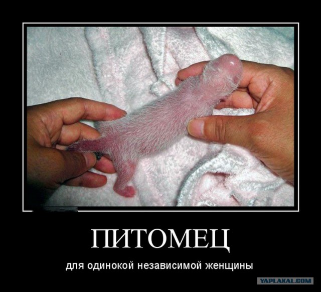Да что они понимают, эти специалисты, всегда можно было, а сегодня вдруг запретили?