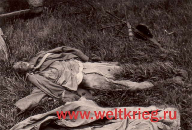 Тесово - Нетыльский. Реконструкция боя в 2017 году.