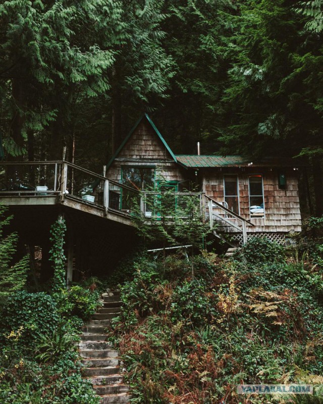 Картинки разные
