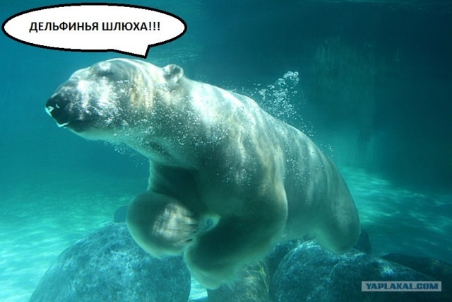 6 самых идиотских вопросов,