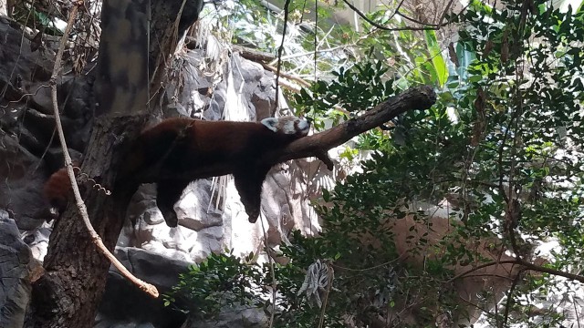 Просто Природа