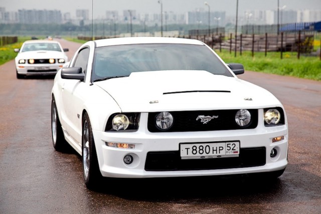 ДР mustang club