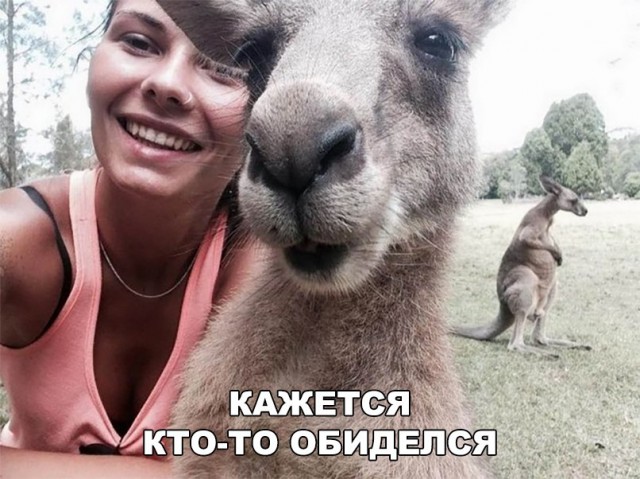 Прикольные картинки обо всём