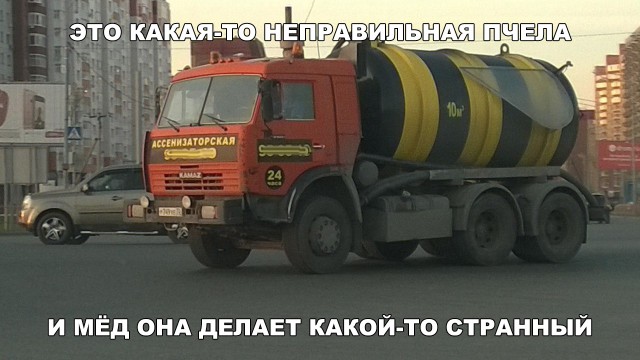 Прикольные картинки абавсём