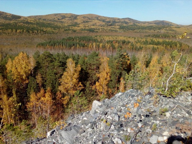 Осенняя тайга