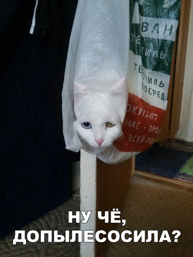 Нестандартный юмор