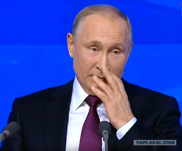 Журналисты в попытке привлечь внимание Владимира Путина подготовили плакаты