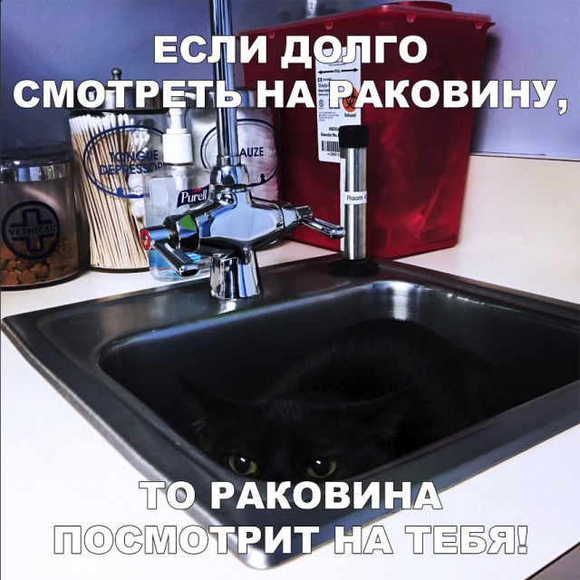 Нестандартный юмор