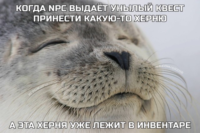 Картинки с претензией на юмор