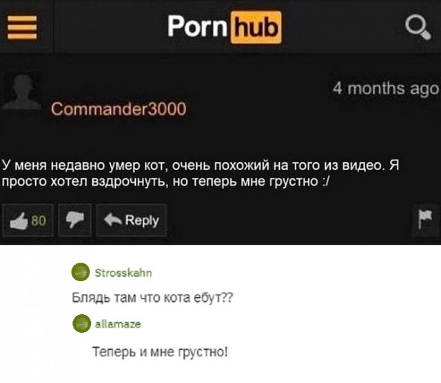 Прикольные комментарии и высказывания из Сети