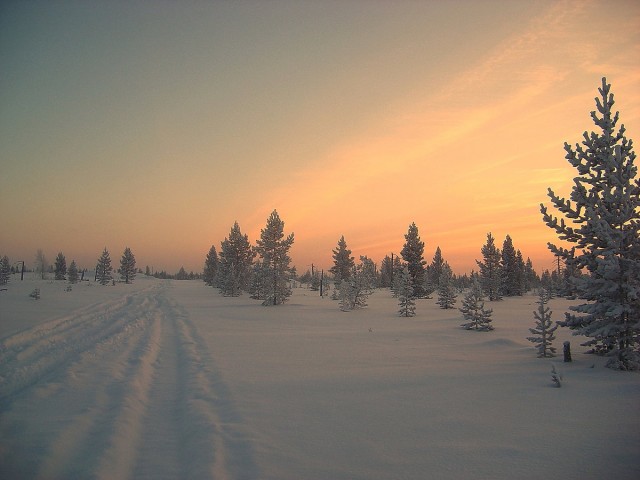 Красивая зимняя тайга