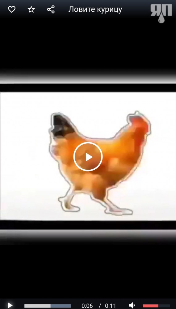Кому нечем заняться: ловите курицу, нажимая на паузу