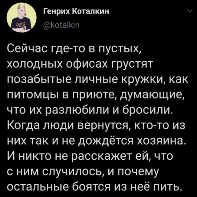 Бредзона 23.04.20
