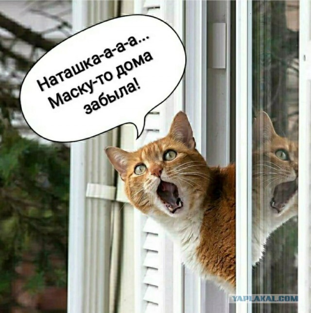 Наташа, вставай!
