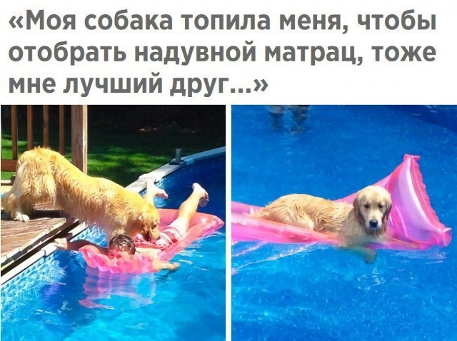 Немного картинок для настроения 116