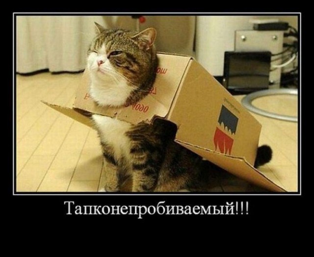 Я от неё просто прусь. Мару