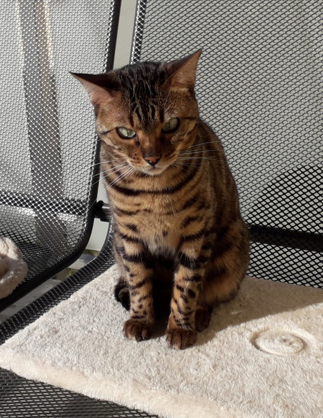 Моя красотка