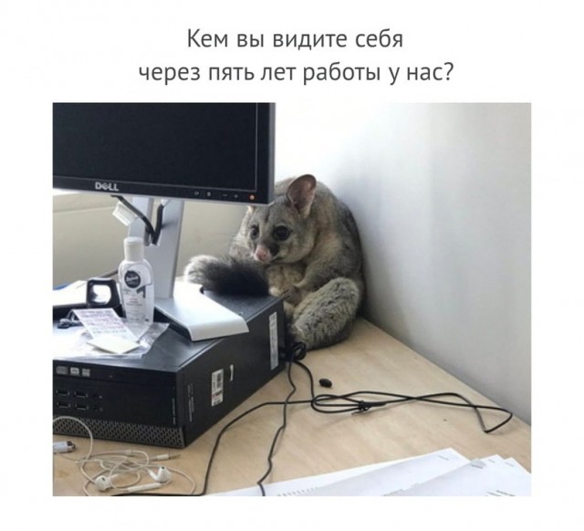 Вечерний выпуск