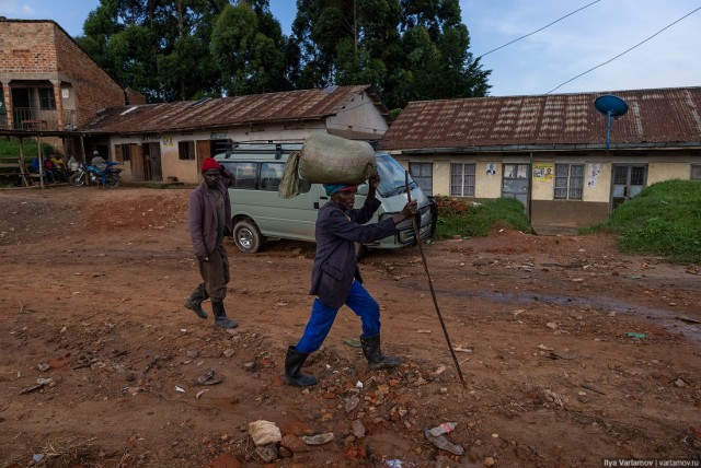 Уганда: самая настоящая Африка с гориллами и носорогами!