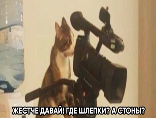 Весёлый полтишок 19.03