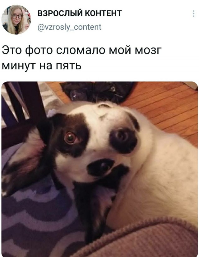 Весёлый полтишок 25.04