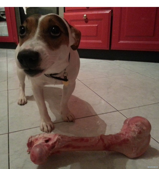 Перемена настроения