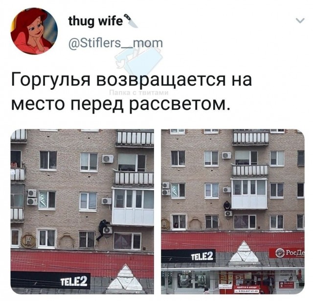 Картинки с надписями и всякие жизненные фразы 5.06.21