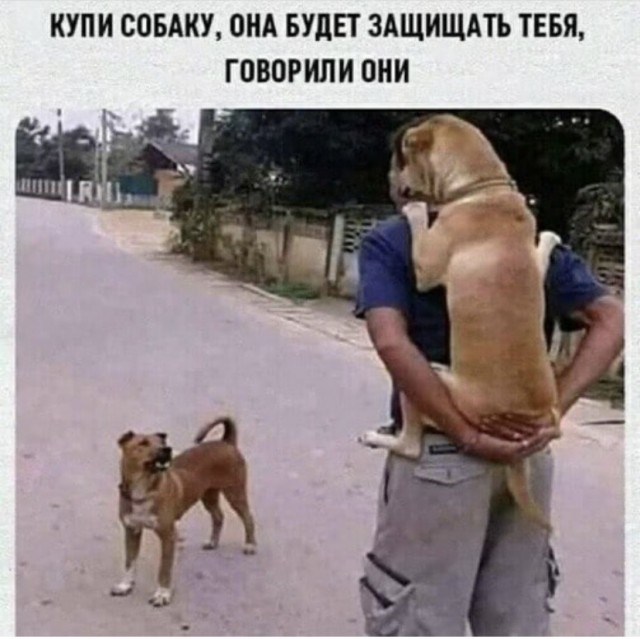 Так себе картинки 10.10.21