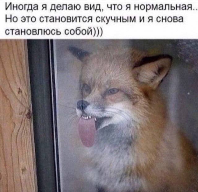 Баянисто-небаянистый юмор 7.04.22