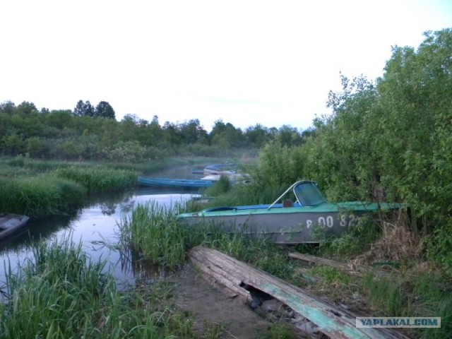 Мы и Тыгра. S.T.A.L.K.E.R.ы, через 12 стран
