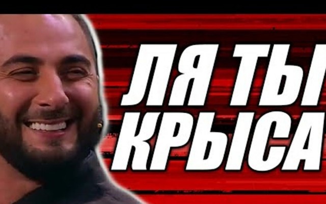 Типичный хаски
