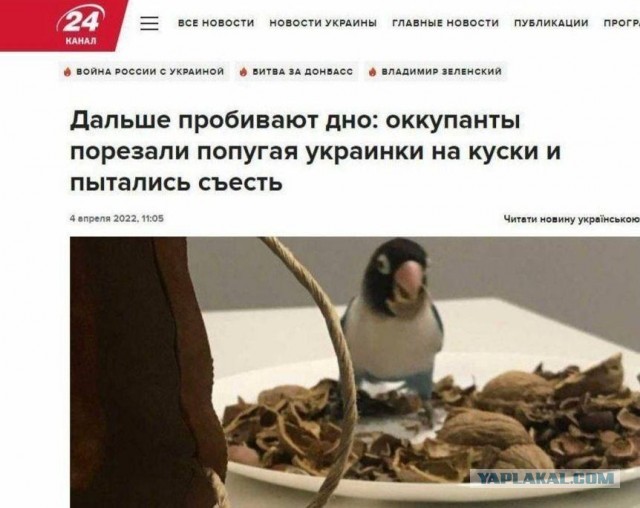 Я не бью себя в грудь.. что я патриот, Z-V ура Путин и т.д. но...