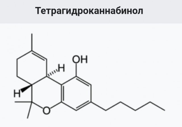 10 ужасных токсинов, которые на самом деле приносят пользу людям