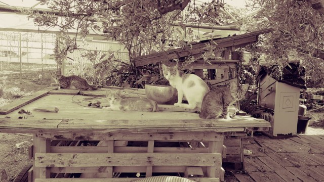 Немного отдыхательских фотокарточек на понедельник