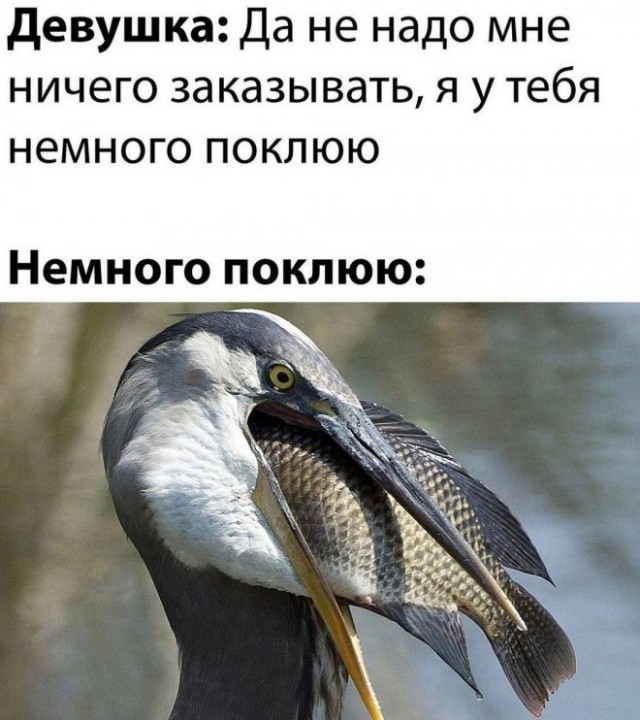 Картинки и мемы для настроения - 119