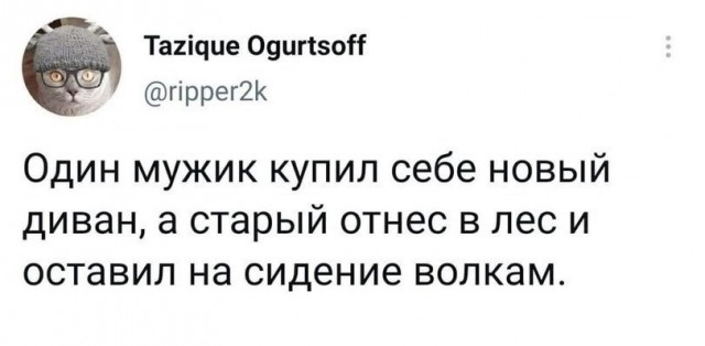 Весёлый полтишок 10.11.22