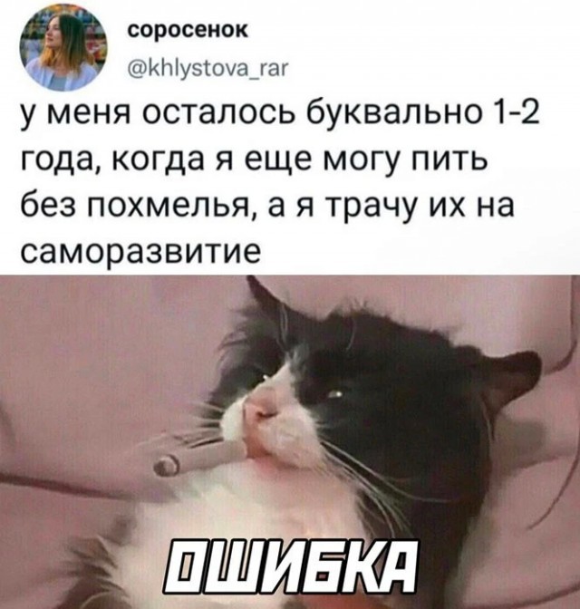 Алкопост  23.12.22