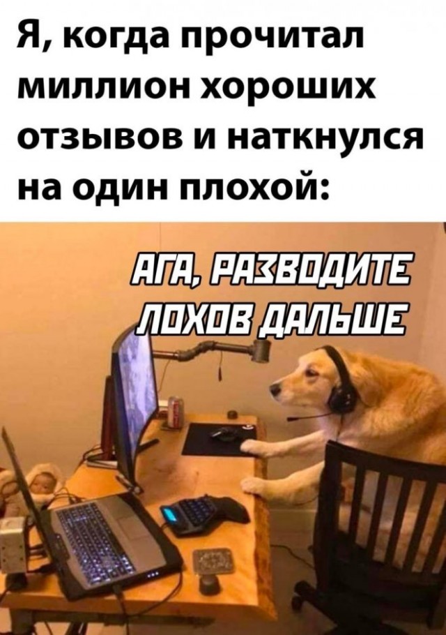 Картинки и мемы, всем хороших выходных