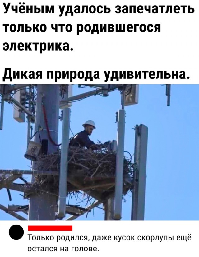 Так себе картинки 18.02.23
