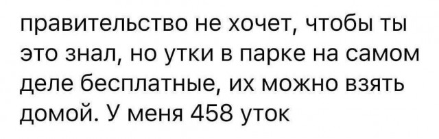 Всего понемногу. Часть 11