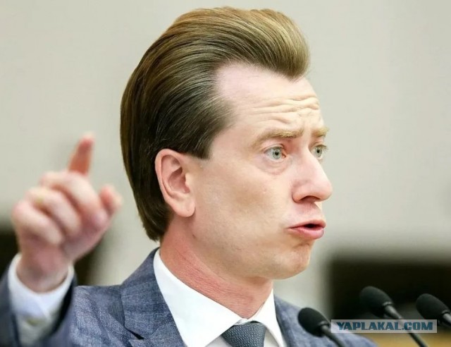 Собаки заживо грызут людей и разносят паразитарный рак: К чему привел запрет на отстрел бездомных животных в России