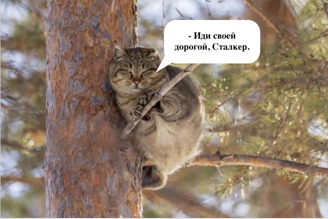 Бывалый