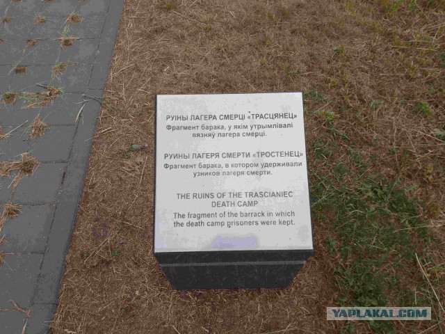 Беларусь. Июнь 2023