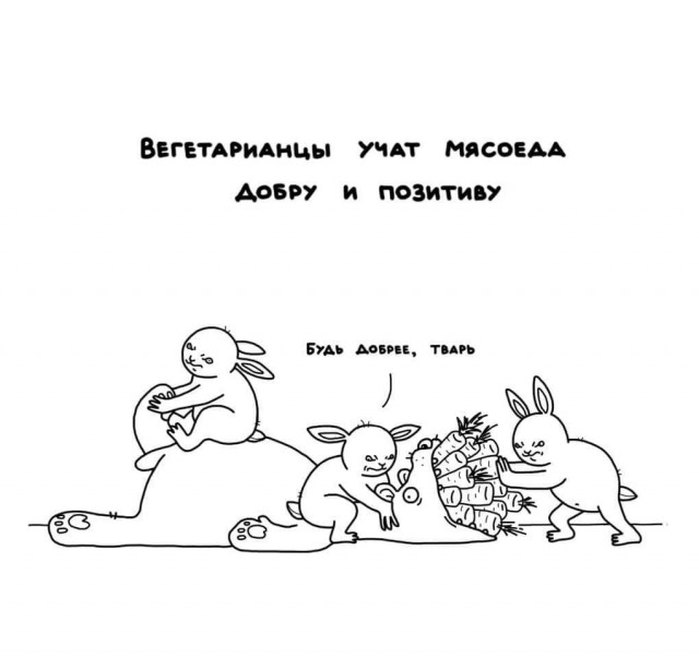 Поддерживать, но не следовать или опять про фанатиков