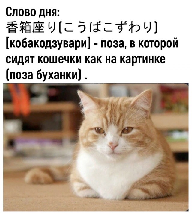 Так себе картинки 23.09.23