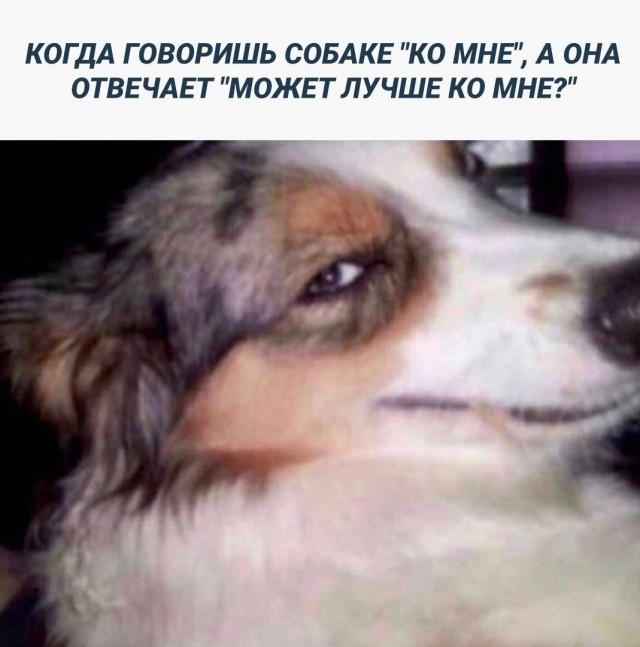 Так себе картинки 28.10.23